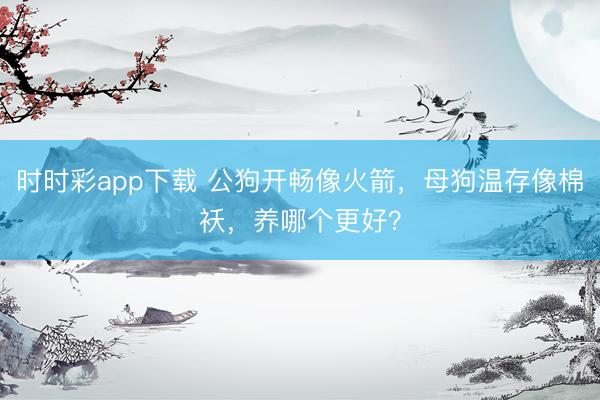 時時彩app下載 公狗開暢像火箭,母狗溫存像棉襖,養哪個更好?