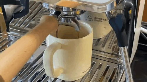 2024年家用咖啡機(jī)選購(gòu)指南,家用咖啡機(jī)推薦攻略,含凱度 百勝圖 格米萊 蘇泊爾 宜盾普 柏翠 火箭rocket等 5月更新